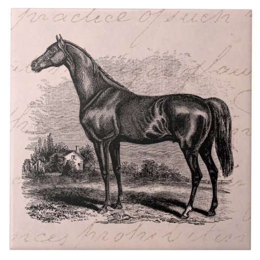 Vintage 1800s Rennen-PferdeRetro Fliese (Vorderseite)