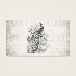 Vintage 1800s Retro Pfau-Illustrations-Schablone