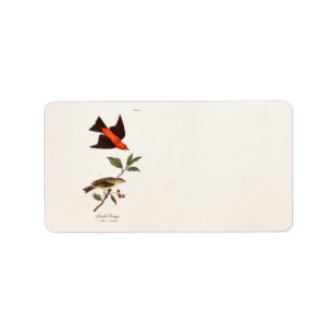 Vintage 1800s Scarlettanager-Vogel-Singvogel-Vöge Adressaufkleber