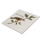 Vintage 1800s Scarlettanager-Vogel-Singvogel-Vögel Fliese (Seite)