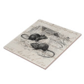 Vintage 1800s Scheunen-MäuseRetro Mäusepergament Fliese (Seite)