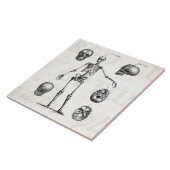 Vintage 1800s Skeleton antike Anatomie-Skelette Fliese (Seite)