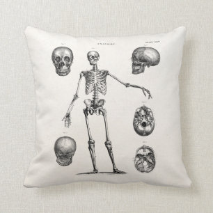 Vintage 1800s Skeleton antike Anatomie-Skelette Kissen