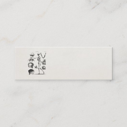 Vintage 1800s Skeleton antike Anatomie-Skelette Mini Visitenkarte (Vorderseite)