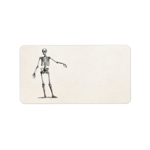 Vintage 1800s Skeleton Retro Anatomie-Skelette Adressaufkleber