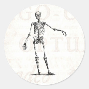 Vintage 1800s Skeleton Retro Skelett-Anatomie Runder Aufkleber