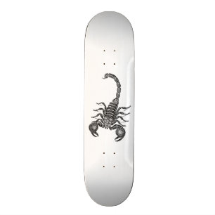 Vintage 1800s Skorpions-Illustration - Skorpione Skateboard