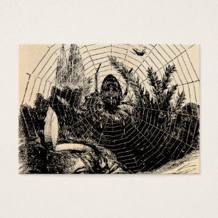Vintage 1800s Spinnen-Netz-Illustration - Spinnen
