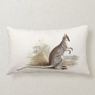 Vintage 1800s Wallaby-Känguru-AntikeWallabies Lendenkissen
