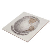 Vintage 1800s Weltkarten-Western-Hemisphäre-Kugel Fliese (Seite)