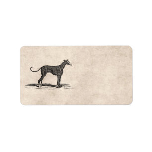 Vintage 1800s Windhund-Hundeillustration - Hunde Adressaufkleber