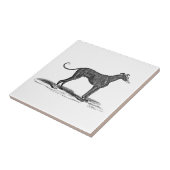 Vintage 1800s Windhund-Hundeillustration - Hunde Fliese (Seite)