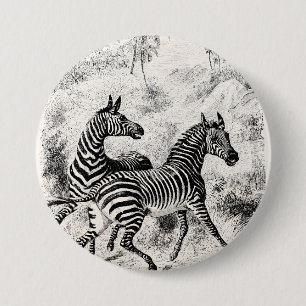 Vintage 1800s ZebrasRetro alte Zebras-Illustration Button