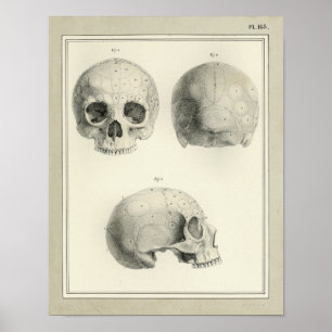 Vintage 1831 Anatomie-Druck des menschlichen Schäd Poster