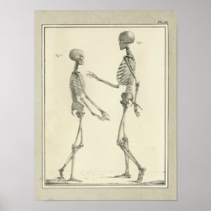 Vintage 1831 Skelett Anatomie Druck Poster