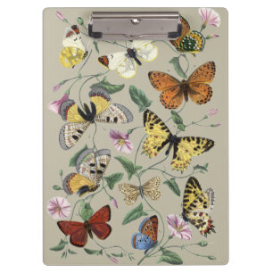 Vintage 1842 Schmetterling Nachtfalter Botanische Klemmbrett