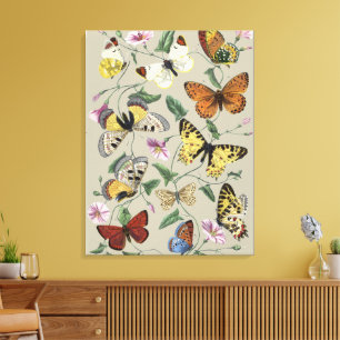 Vintage 1842 Schmetterling Nachtfalter Botanische  Leinwanddruck