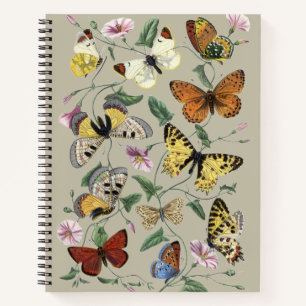 Vintage 1842 Schmetterling Nachtfalter Botanische Notizblock