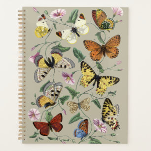 Vintage 1842 Schmetterling Nachtfalter Botanische Planer