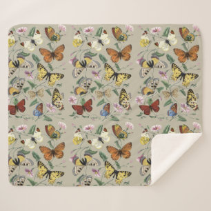 Vintage 1842 Schmetterling Nachtfalter Botanische Sherpadecke