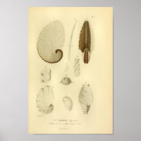 Vintage 1845-Druckfarben-Druckfarben-Druckschrift 