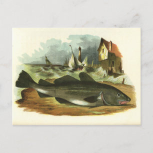 Vintage-1859-Kabelfisch-Volkskunstillustration Postkarte
