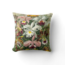 Vintage 1865 botanische Orchideen-Illustration