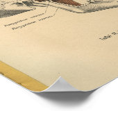 Vintage 1888 German Anatomy Print Skull Muscles Poster (Ecke)