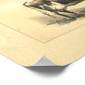 Vintage 1888 Kuh-Druck Poster (Ecke)