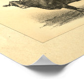 Vintage 1888 Kuh-Druck Poster (Ecke)