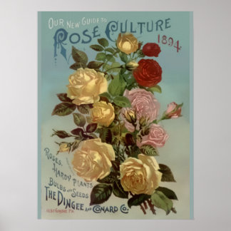 Vintage 1894 Anleitung zur Rosenzucht Poster