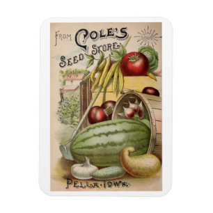 Vintage 1900 Cole's Seed Store-Werbung Magnet