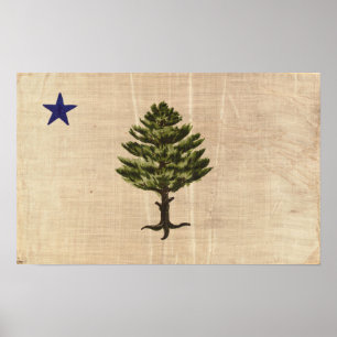 Vintage 1901 Maine Flag Print (gepfropft) Poster