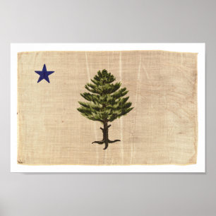 Vintage 1901 Maine Flag Print (klein) Poster