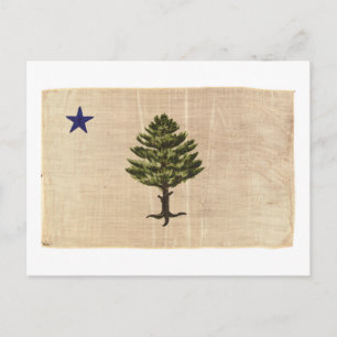 Vintage 1901 Maine-Flagge Postkarte