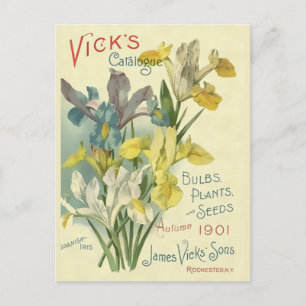 Vintage 1901 Vick's Samen- und Pflanzenkatalog Postkarte
