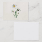 Vintage 1902 Gänseblümchen-alte wilde Visitenkarte (Vorne/Hinten)