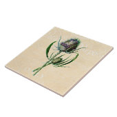 Vintage 1902 Scottish-Distel-Antiken-Wildblume Fliese (Seite)