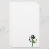 Vintage 1902 Scottish-Distel-Antiken-wilde Blume Briefpapier (Vorne/Hinten)