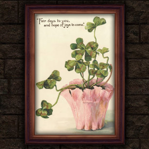 Vintage 1905 Botanisches Wandposter Poster