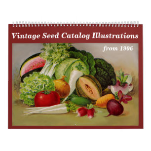 Vintage -1906 - Saatgutkatalog-Illustrationen - Kalender