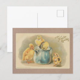 Vintage 1907 Baby Chicks mit Milk Pail Oaster Postkarte