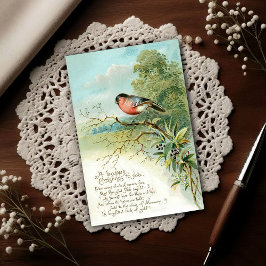 Vintage 1908 Bullfinch Christmas Holiday Postkarte