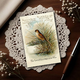 Vintage 1908 Christmas Bird Greeting Postkarte