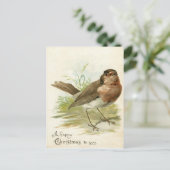 Vintage 1908 Robin Bird Christmas Greeting Postkarte (Stehend Vorderseite)
