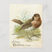 Vintage 1908 Robin Bird Christmas Greeting Postkarte (Vorderseite)
