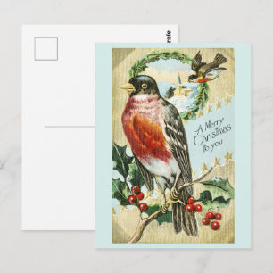 Vintage 1908 Weihnachts-Rotkehlchen auf Stechpalme Postkarte