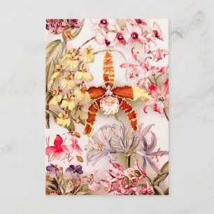 Vintage 1911 Orchidee Rosa Blumen Alte Illustratio Karte