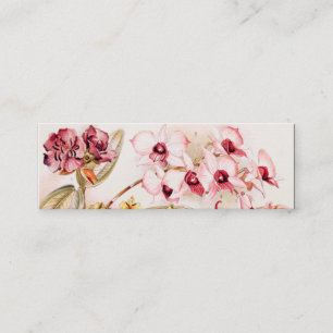 Vintage 1911 Orchidee Rosa Blüten Alte Illustratio Mini Visitenkarte