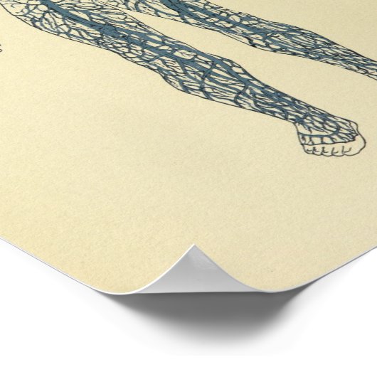 Vintage 1920 Adern Kunstdruckkunst Poster (Ecke)